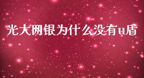 光大网银为什么没有u盾_https://cj002.lansai.wang_理财问答_第1张