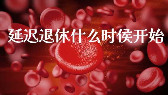 延迟退休什么时侯开始_会计问答_第1张_财经百问网 延迟退休什么时侯开始_https://cj002.lansai.wang_会计问答_第1张