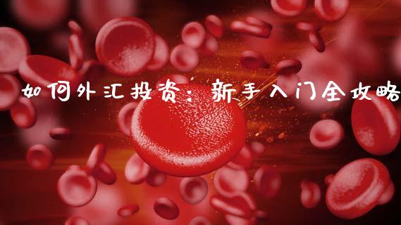如何外汇投资：新手入门全攻略_https://cj002.lansai.wang_金融问答_第1张