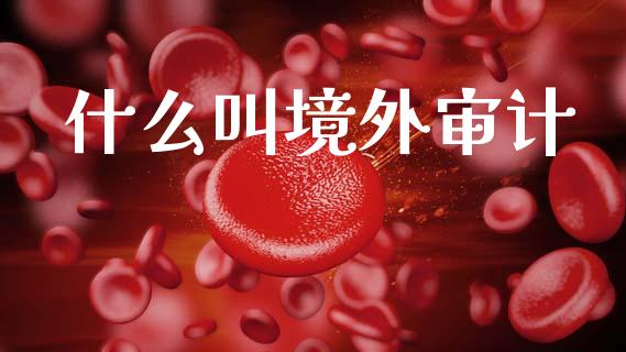 什么叫境外审计_https://cj002.lansai.wang_会计问答_第1张