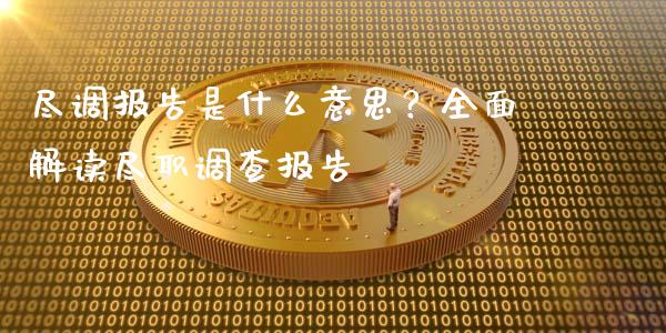 尽调报告是什么意思?全面解读尽职调查报告_理财问答_第1张_财经百问网 尽调报告是什么意思?全面解读尽职调查报告_https://cj002.lansai.wang_理财问答_第1张