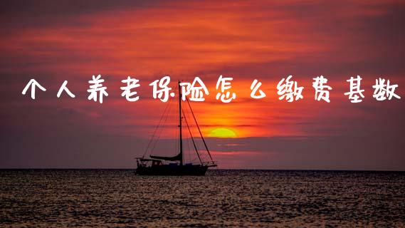 个人养老保险怎么缴费基数_https://cj002.lansai.wang_保险问答_第1张