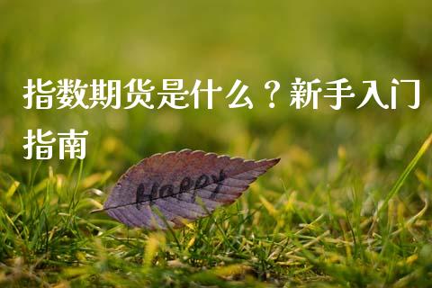 指数期货是什么？新手入门指南_https://cj002.lansai.wang_保险问答_第1张
