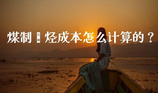 煤制烯烃成本怎么计算的？_https://cj002.lansai.wang_股市问答_第1张