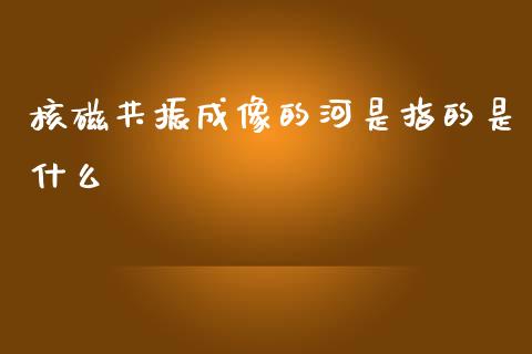 核磁共振成像的河是指的是什么_https://cj002.lansai.wang_财经百问_第1张