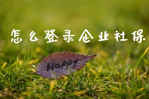 怎么登录企业社保_https://cj002.lansai.wang_保险问答_第1张