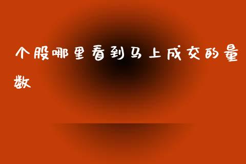 个股哪里看到马上成交的量数_https://cj002.lansai.wang_理财问答_第1张