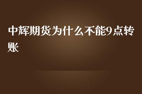 中辉期货为什么不能9点转账_https://cj002.lansai.wang_理财问答_第1张
