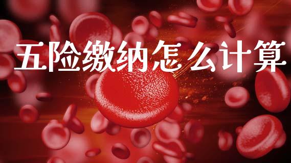 五险缴纳怎么计算_https://cj002.lansai.wang_保险问答_第1张
