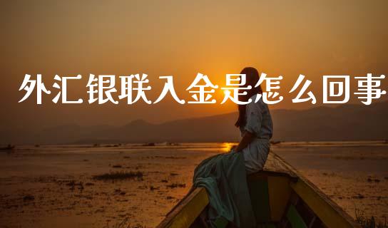 外汇银联入金是怎么回事_https://cj002.lansai.wang_财经问答_第1张