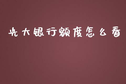 光大银行额度怎么看_https://cj002.lansai.wang_金融问答_第1张