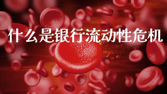 什么是银行流动性危机_https://cj002.lansai.wang_财经问答_第1张