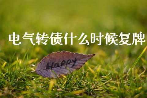 电气转债什么时候复牌_https://cj002.lansai.wang_期货问答_第1张