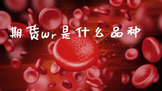 期货wr是什么品种_财经问答_第1张_财经百问网 期货wr是什么品种_https://cj002.lansai.wang_财经问答_第1张