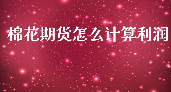 棉花期货怎么计算利润_https://cj002.lansai.wang_财经百问_第1张