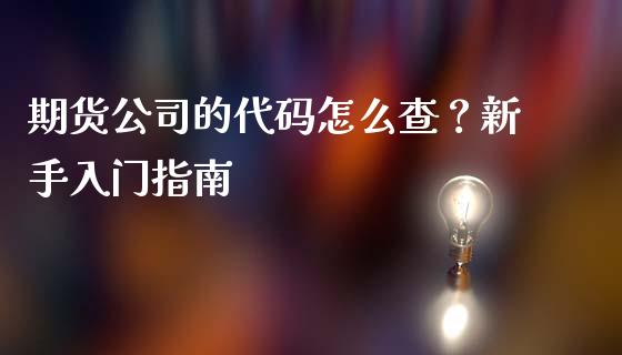 期货公司的代码怎么查？新手入门指南_https://cj002.lansai.wang_期货问答_第1张