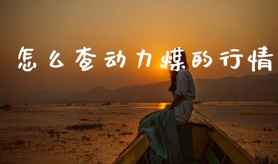 怎么查动力煤的行情_https://cj002.lansai.wang_会计问答_第1张