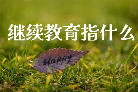 继续教育指什么_https://cj002.lansai.wang_会计问答_第1张