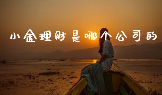 小金理财是哪个公司的_https://cj002.lansai.wang_理财问答_第1张