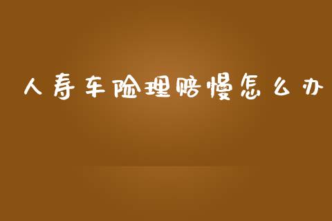 人寿车险理赔慢怎么办_https://cj002.lansai.wang_保险问答_第1张