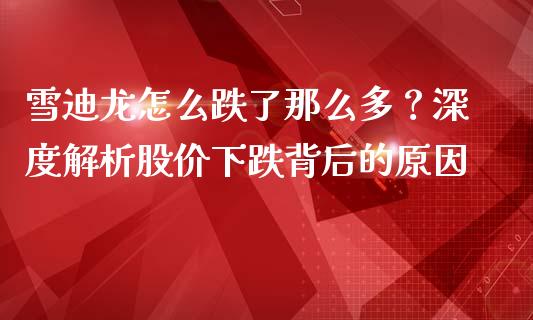 雪迪龙怎么跌了那么多？深度解析股价下跌背后的原因_https://cj002.lansai.wang_金融问答_第1张