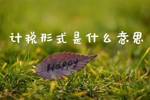 计税形式是什么意思_https://cj002.lansai.wang_会计问答_第1张