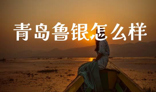 青岛鲁银怎么样_https://cj002.lansai.wang_期货问答_第1张