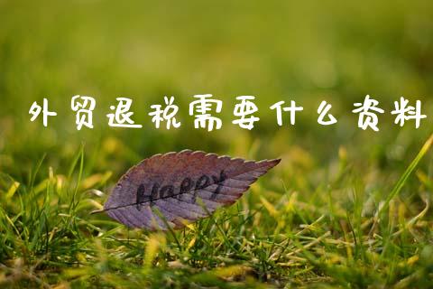 外贸退税需要什么资料_https://cj002.lansai.wang_会计问答_第1张
