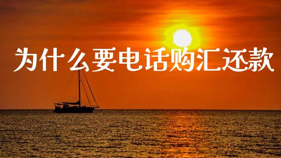 为什么要电话购汇还款_https://cj002.lansai.wang_金融问答_第1张