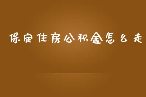 保定住房公积金怎么走_https://cj002.lansai.wang_保险问答_第1张