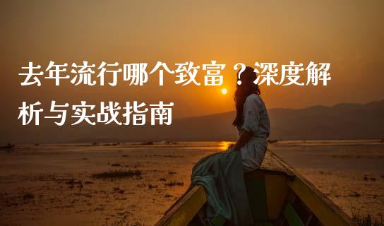 去年流行哪个致富？深度解析与实战指南_https://cj002.lansai.wang_期货问答_第1张