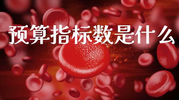 预算指标数是什么_https://cj002.lansai.wang_会计问答_第1张