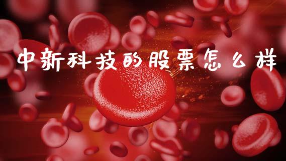 中新科技的股票怎么样_https://cj002.lansai.wang_股市问答_第1张