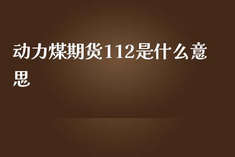 动力煤期货112是什么意思_https://cj002.lansai.wang_股市问答_第1张
