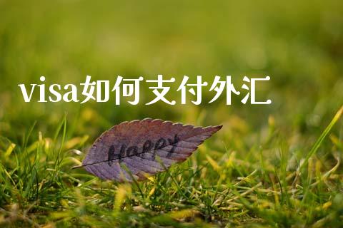 visa如何支付外汇_https://cj002.lansai.wang_财经问答_第1张