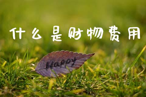 什么是财物费用_https://cj002.lansai.wang_会计问答_第1张