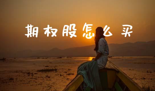期权股怎么买_https://cj002.lansai.wang_期货问答_第1张