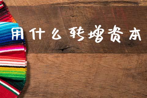 用什么转增资本_https://cj002.lansai.wang_会计问答_第1张
