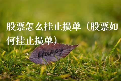 股票怎么挂止损单（股票如何挂止损单）_https://cj002.lansai.wang_理财问答_第1张