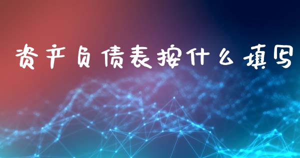 资产负债表按什么填写_https://cj002.lansai.wang_会计问答_第1张