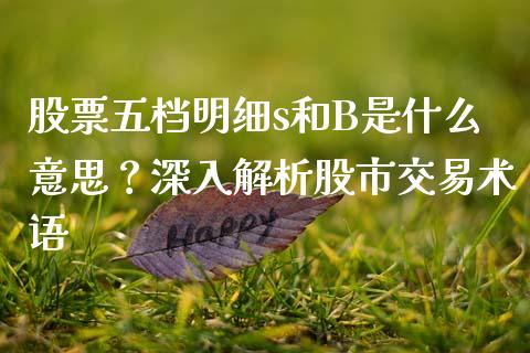 股票五档明细s和B是什么意思？深入解析股市交易术语_https://cj002.lansai.wang_保险问答_第1张