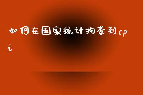 如何在国家统计拘查到cpi_https://cj002.lansai.wang_金融问答_第1张