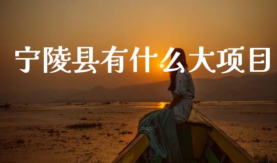 宁陵县有什么大项目_https://cj002.lansai.wang_理财问答_第1张