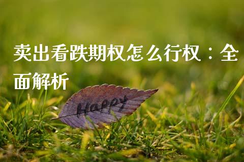 卖出看跌期权怎么行权：全面解析_https://cj002.lansai.wang_股市问答_第1张