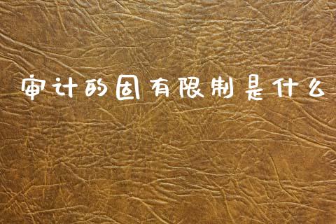 审计的固有限制是什么_https://cj002.lansai.wang_会计问答_第1张