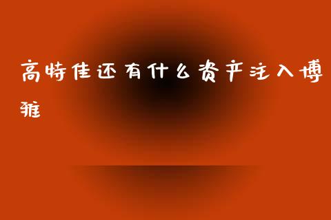 高特佳还有什么资产注入博雅_https://cj002.lansai.wang_期货问答_第1张