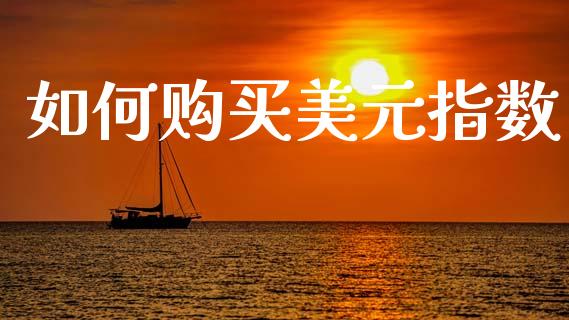如何购买美元指数_https://cj002.lansai.wang_保险问答_第1张