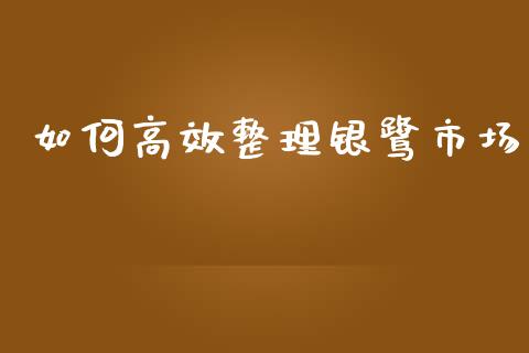 如何高效整理银鹭市场_https://cj002.lansai.wang_金融问答_第1张