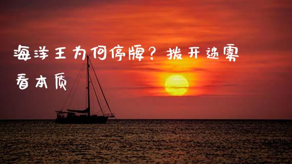 海洋王为何停牌？拨开迷雾看本质_https://cj002.lansai.wang_财经问答_第1张