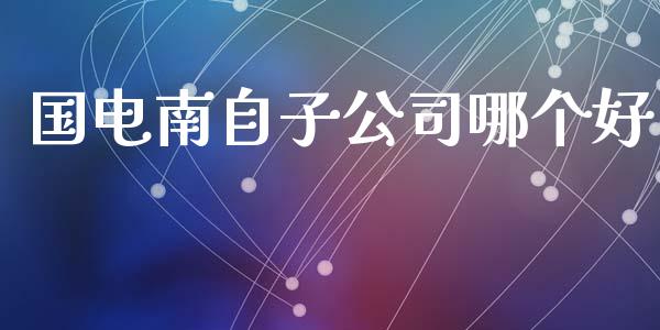 国电南自子公司哪个好_https://cj002.lansai.wang_期货问答_第1张
